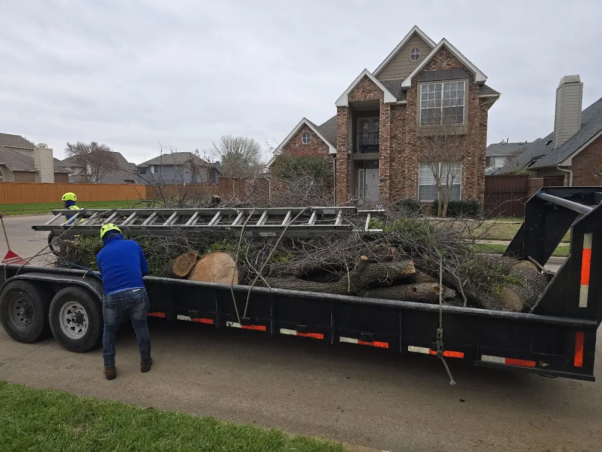Expert Tree Fertilization with proper safety equipment in Jonesville